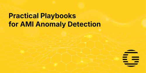 Practical Playbooks  for AMI Anomaly Detection