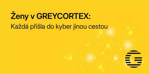 Ženy v GREYCORTEX: Každá přišla do kyber jinou cestou